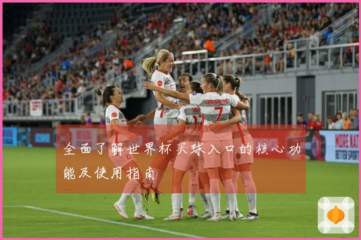 全面了解世界杯买球入口的核心功能及使用指南