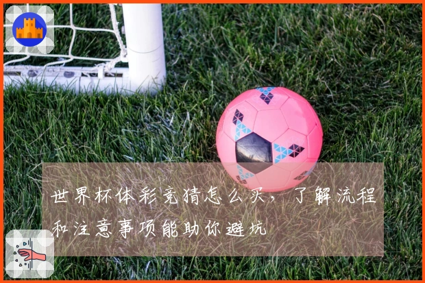 世界杯体彩竞猜怎么买，了解流程和注意事项能助你避坑