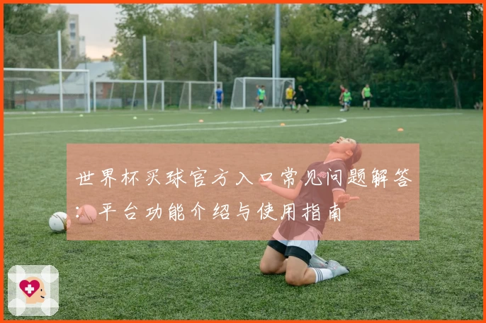 世界杯买球官方入口常见问题解答：平台功能介绍与使用指南
