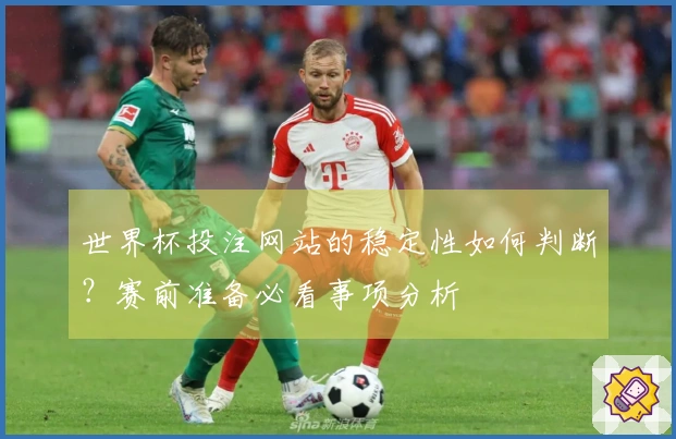 世界杯投注网站的稳定性如何判断？赛前准备必看事项分析