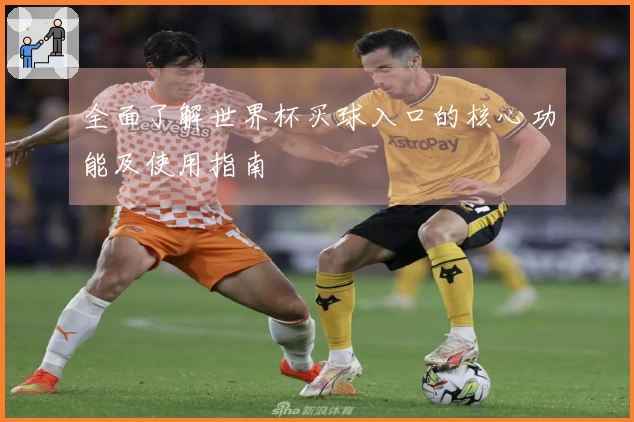 全面了解世界杯买球入口的核心功能及使用指南