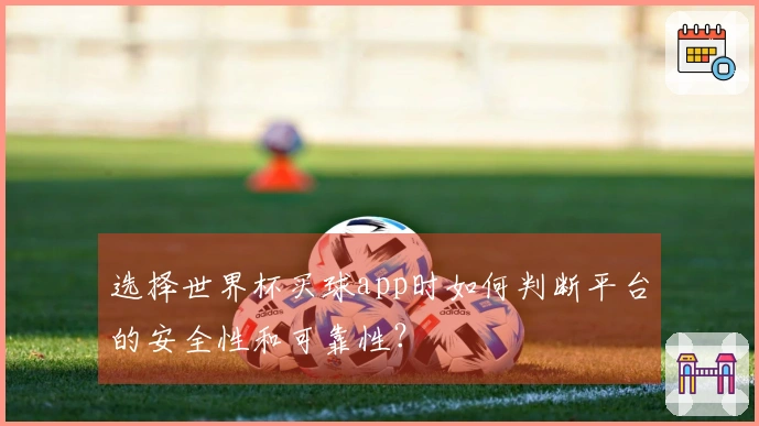 选择世界杯买球app时如何判断平台的安全性和可靠性?
