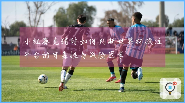 小组赛竞猜时如何判断世界杯投注平台的可靠性与风险因素