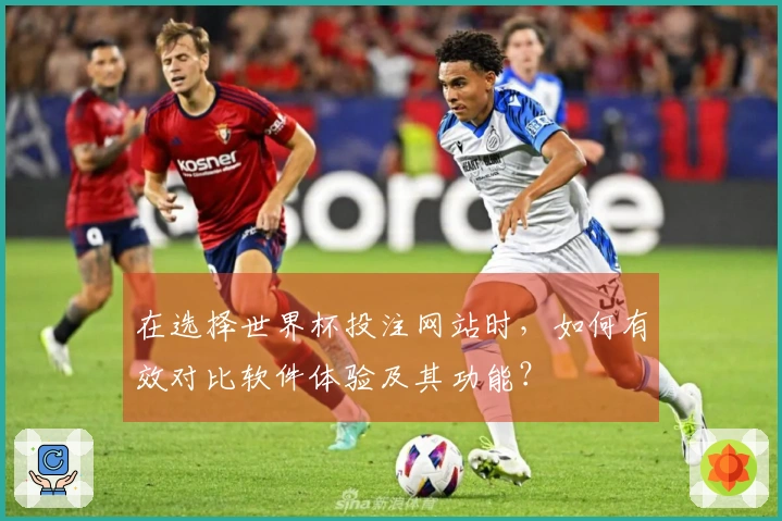 在选择世界杯投注网站时,如何有效对比软件体验及其功能?