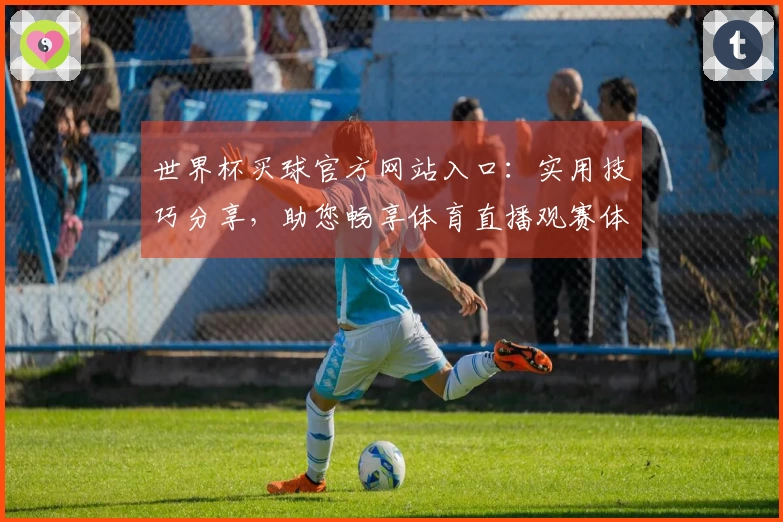 世界杯买球官方网站入口：实用技巧分享，助您畅享体育直播观赛体验