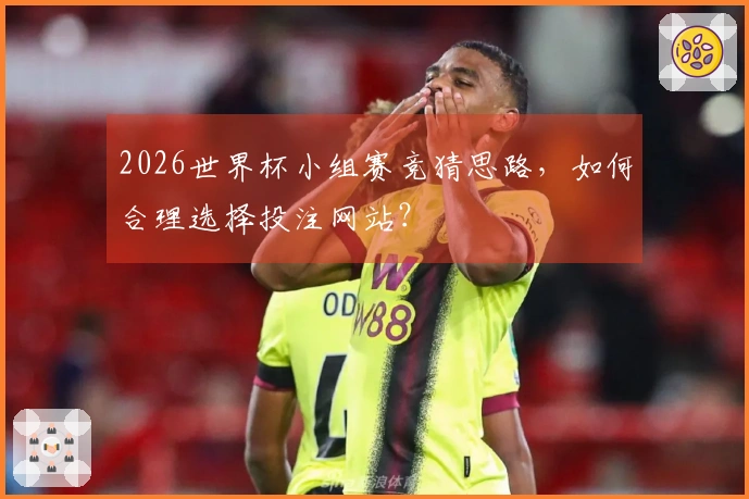2026世界杯小组赛竞猜思路，如何合理选择投注网站？