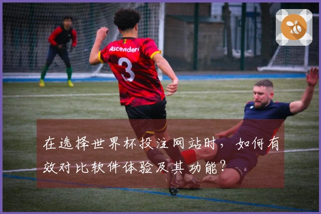 在选择世界杯投注网站时，如何有效对比软件体验及其功能？