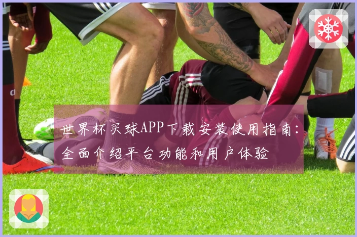世界杯买球APP下载安装使用指南：全面介绍平台功能和用户体验