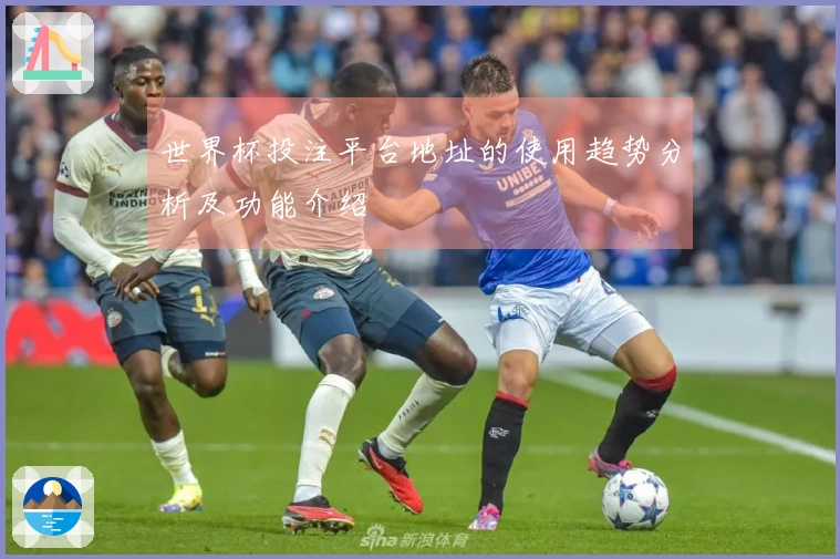 世界杯投注平台地址的使用趋势分析及功能介绍