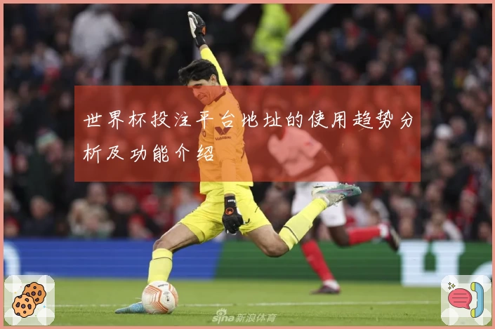 世界杯投注平台地址的使用趋势分析及功能介绍