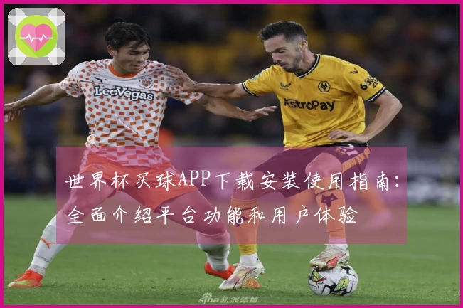世界杯买球APP下载安装使用指南：全面介绍平台功能和用户体验